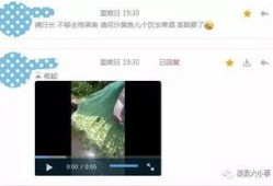 叶兰爆料视频完整版,事件真相与幕后黑幕大起底